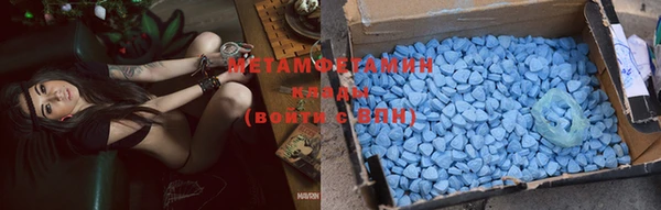 ГАЛЛЮЦИНОГЕННЫЕ ГРИБЫ Аркадак