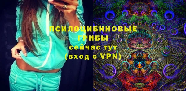 ГАЛЛЮЦИНОГЕННЫЕ ГРИБЫ Аркадак
