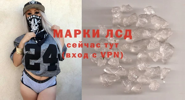 ГАЛЛЮЦИНОГЕННЫЕ ГРИБЫ Аркадак