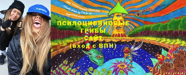 ГАЛЛЮЦИНОГЕННЫЕ ГРИБЫ Аркадак